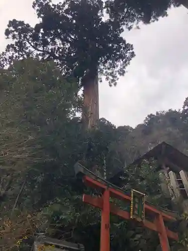 由岐神社の鳥居