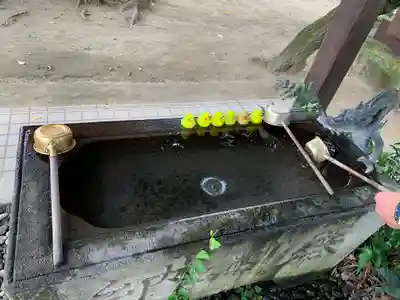 柏諏訪神社の手水舎