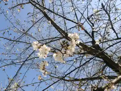 秋葉神社の{uncategorized: "未分類", other: "その他", undefined: "問題あり", building: "その他建物", grave: "お墓", sacred_gate: "鳥居", guardian: "狛犬", statue: "像", buddha: "仏像", history: "歴史", nature: "自然", garden: "庭園", animal: "動物", pagoda: "塔", temizu: "手水舎", mountain_gate: "山門・神門", sanctuary: "本殿・本堂", subordinate: "末社・摂社", art: "芸術", scenery: "景色", jizo: "地蔵", ema: "絵馬", goshuin: "御朱印", omikuji: "おみくじ", items: "授与品その他", amulet: "お守り", goshuincho: "御朱印帳", eats: "食事", festival: "お祭り", votive_dance: "神楽", shichigosan: "七五三参", wedding: "結婚式", experience: "体験その他", initially: "初詣", around: "周辺", anti_infection: "感染症対策"}