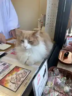 駒込妙義神社の{uncategorized: "未分類", other: "その他", undefined: "問題あり", building: "その他建物", grave: "お墓", sacred_gate: "鳥居", guardian: "狛犬", statue: "像", buddha: "仏像", history: "歴史", nature: "自然", garden: "庭園", animal: "動物", pagoda: "塔", temizu: "手水舎", mountain_gate: "山門・神門", sanctuary: "本殿・本堂", subordinate: "末社・摂社", art: "芸術", scenery: "景色", jizo: "地蔵", ema: "絵馬", goshuin: "御朱印", omikuji: "おみくじ", items: "授与品その他", amulet: "お守り", goshuincho: "御朱印帳", eats: "食事", festival: "お祭り", votive_dance: "神楽", shichigosan: "七五三参", wedding: "結婚式", experience: "体験その他", initially: "初詣", around: "周辺", anti_infection: "感染症対策"}