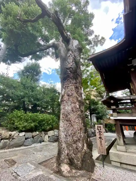 大将軍八神社の自然