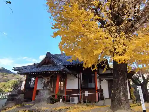 春日神社(熊本県)