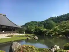 天龍寺の庭園