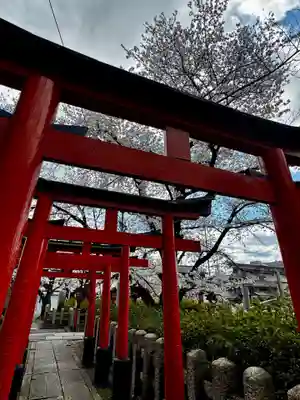 六孫王神社(京都府)