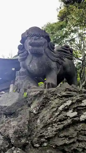 菊田神社の狛犬