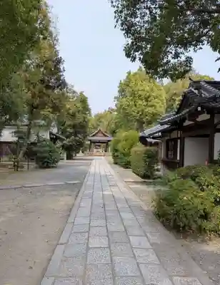 木嶋坐天照御魂神社(京都府)