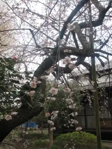 宝戒寺(神奈川県)