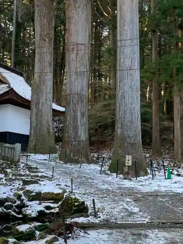 宝積山光前寺の庭園