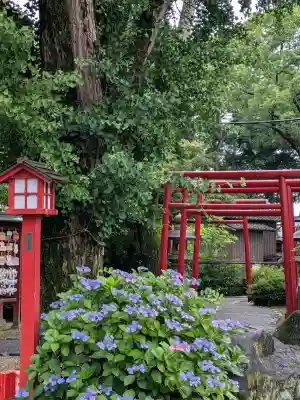 藤田神社[旧児島湾神社](岡山県)
