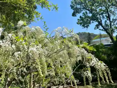 歌泉堂（春日大社神苑萬葉植物園内鎮座）(奈良県)