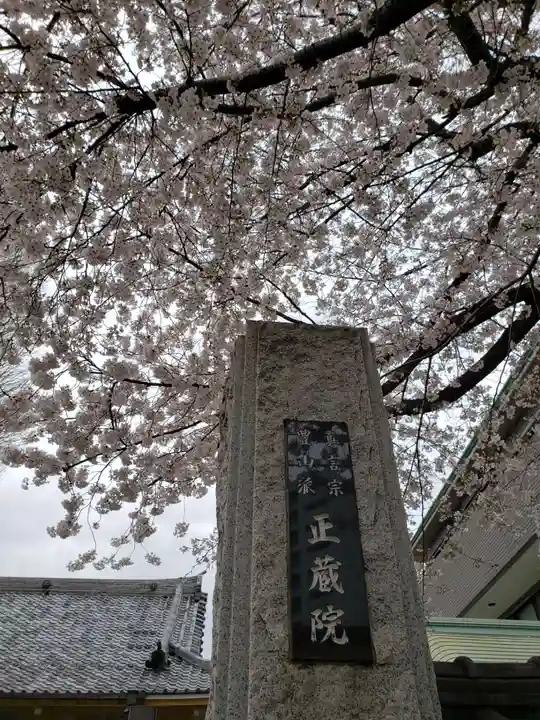 正蔵院(東京都)