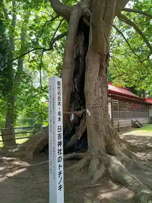 日吉神社の{uncategorized: "未分類", other: "その他", undefined: "問題あり", building: "その他建物", grave: "お墓", sacred_gate: "鳥居", guardian: "狛犬", statue: "像", buddha: "仏像", history: "歴史", nature: "自然", garden: "庭園", animal: "動物", pagoda: "塔", temizu: "手水舎", mountain_gate: "山門・神門", sanctuary: "本殿・本堂", subordinate: "末社・摂社", art: "芸術", scenery: "景色", jizo: "地蔵", ema: "絵馬", goshuin: "御朱印", omikuji: "おみくじ", items: "授与品その他", amulet: "お守り", goshuincho: "御朱印帳", eats: "食事", festival: "お祭り", votive_dance: "神楽", shichigosan: "七五三参", wedding: "結婚式", experience: "体験その他", initially: "初詣", around: "周辺", anti_infection: "感染症対策"}