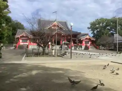 甚目寺(愛知県)