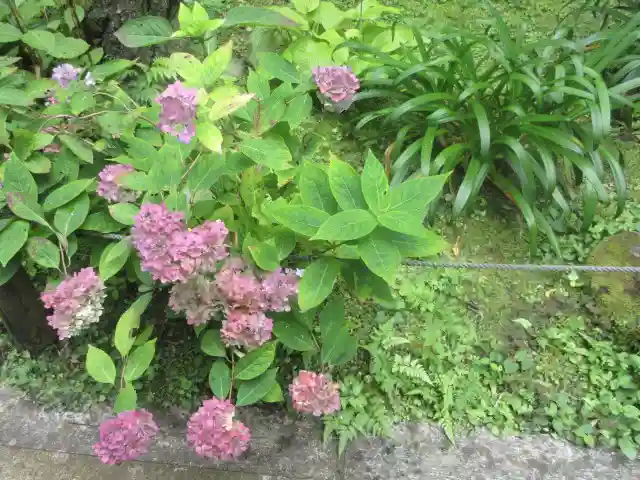 安國論寺(安国論寺)の庭園