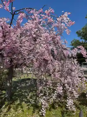 倶利迦羅不動寺鳳凰殿の{uncategorized: "未分類", other: "その他", undefined: "問題あり", building: "その他建物", grave: "お墓", sacred_gate: "鳥居", guardian: "狛犬", statue: "像", buddha: "仏像", history: "歴史", nature: "自然", garden: "庭園", animal: "動物", pagoda: "塔", temizu: "手水舎", mountain_gate: "山門・神門", sanctuary: "本殿・本堂", subordinate: "末社・摂社", art: "芸術", scenery: "景色", jizo: "地蔵", ema: "絵馬", goshuin: "御朱印", omikuji: "おみくじ", items: "授与品その他", amulet: "お守り", goshuincho: "御朱印帳", eats: "食事", festival: "お祭り", votive_dance: "神楽", shichigosan: "七五三参", wedding: "結婚式", experience: "体験その他", initially: "初詣", around: "周辺", anti_infection: "感染症対策"}