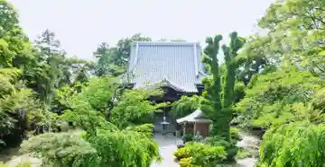 観音院の本殿・本堂