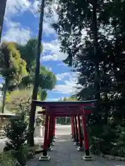 亀ケ池八幡宮の鳥居