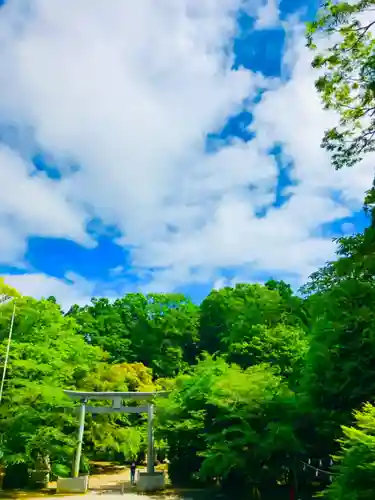 香取神宮の鳥居