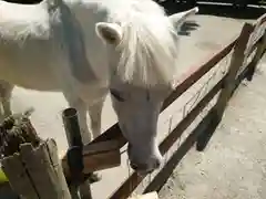 丹生川上神社（下社）(奈良県)