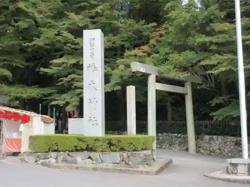 椿大神社の鳥居