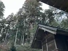 大宮温泉神社の本殿