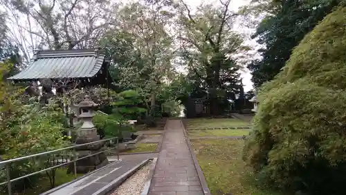 三佛寺の庭園