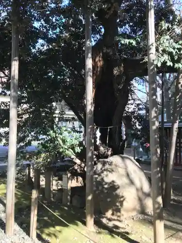 金王八幡宮(東京都)