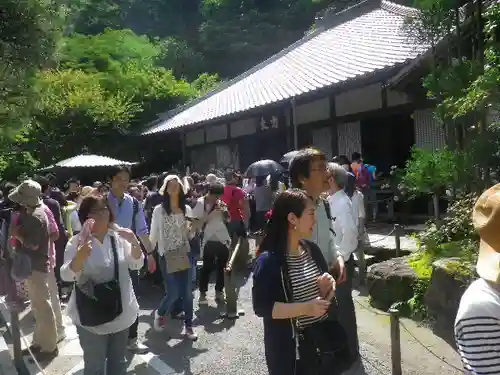 明月院の庭園