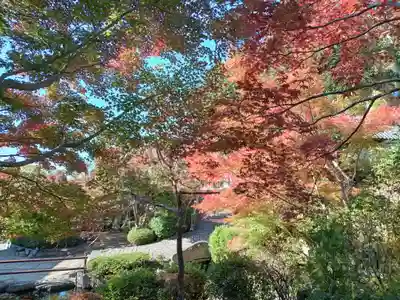 慈眼寺(大阪府)