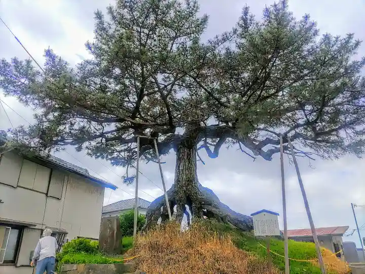 無量寿寺の周辺