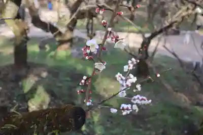 北野天満宮(京都府)