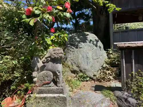 御前神社の狛犬