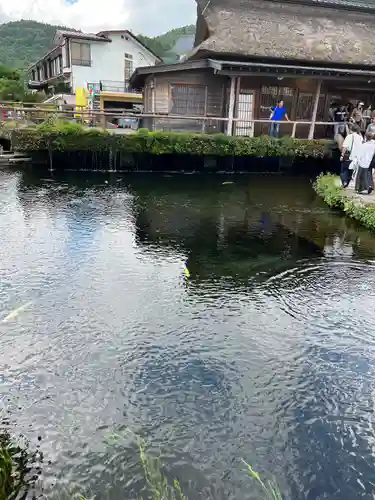 淺間神社（忍野八海）の庭園