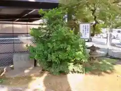 西向天神社の建物その他