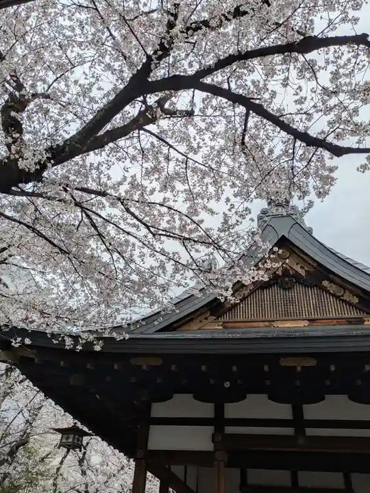 天孫神社(滋賀県)