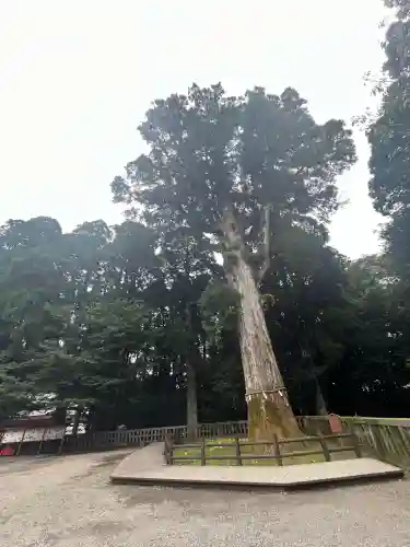 霧島神宮(鹿児島県)