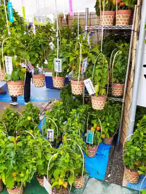 浅草寺(東京都)