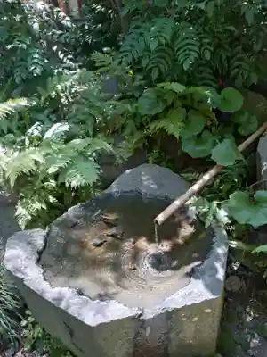 福徳神社（芽吹稲荷）(東京都)