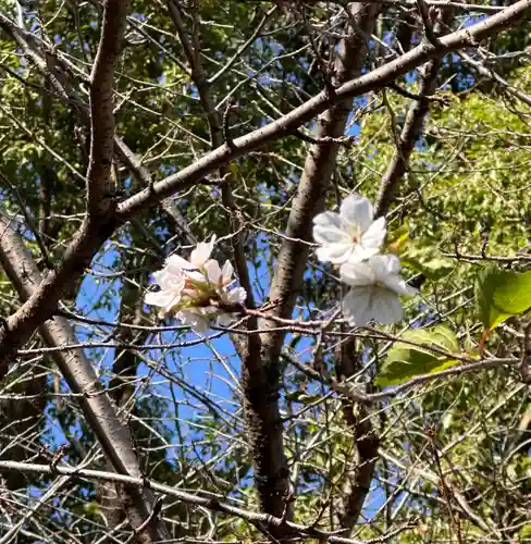 上野東照宮(東京都)