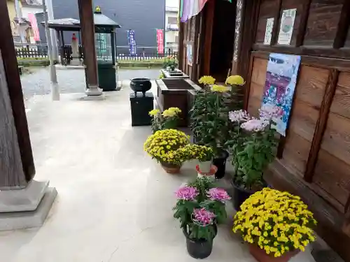 今宮坊(埼玉県)