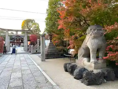 晴明神社の狛犬