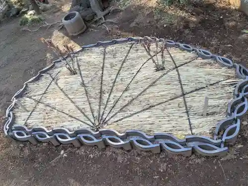 豪徳寺(東京都)