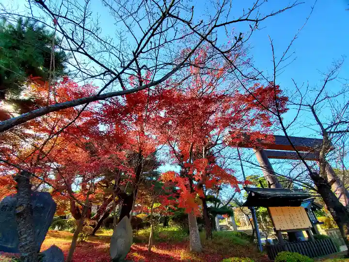 開成山大神宮の自然