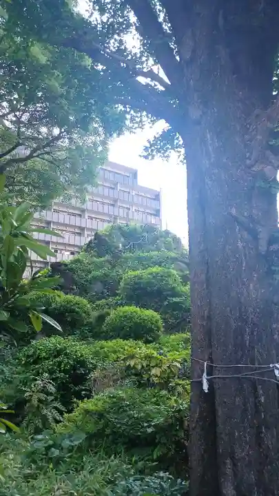 成子天神社(東京都)