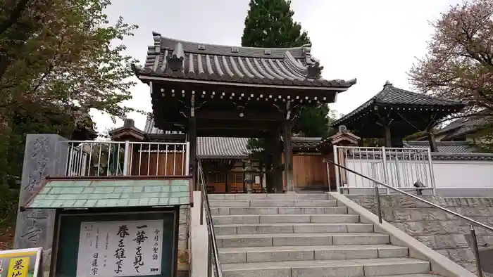 妙蓮寺の山門