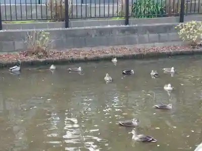 法華経寺(千葉県)