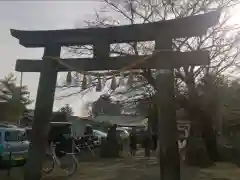 前玉神社の鳥居