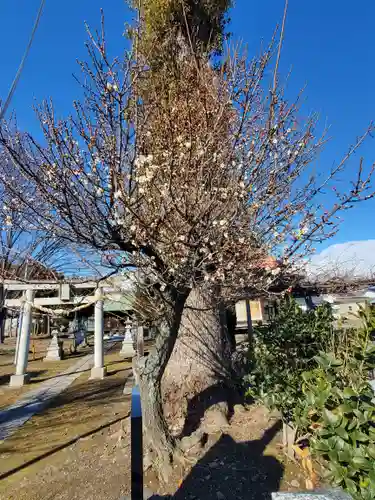 天満宮(福富町)(栃木県)