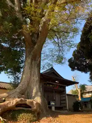 御嶽神社(千葉県)