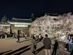 眞田神社(長野県)